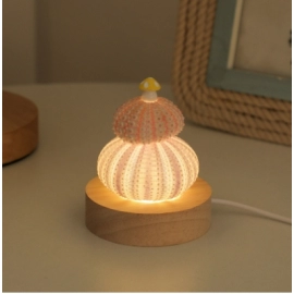 Shell sea urchin creative handmade DIY night light atmosphere bedroom desktop decoration gift ornaments